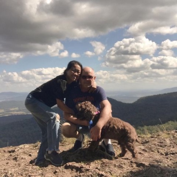 Meet your Posher, Carol - Picture 1 of 1